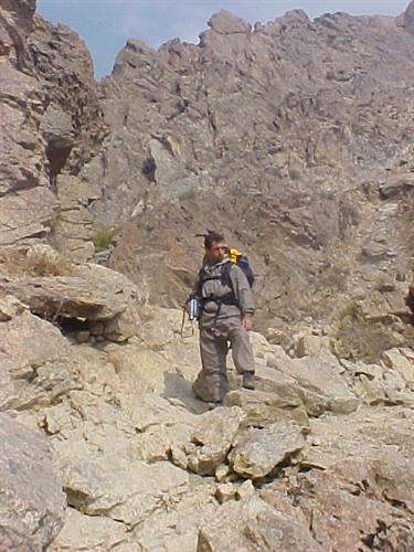 kourosh&nbsp;shandermani