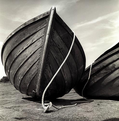 shahrzad&nbsp;mirakhorli