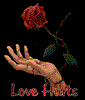 fariborz