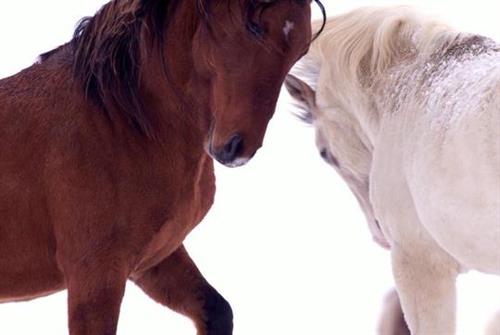 reza&nbsp;hassanzadeh