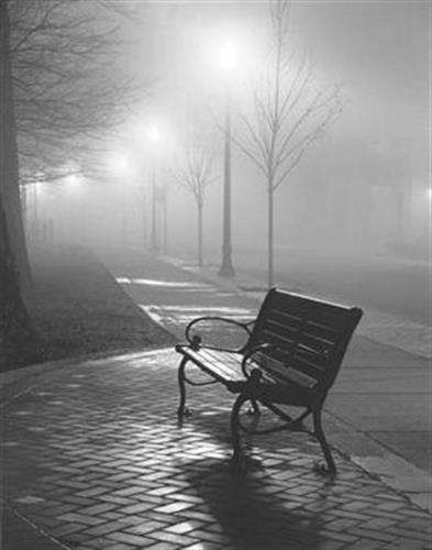 nasrollah&nbsp;borhan