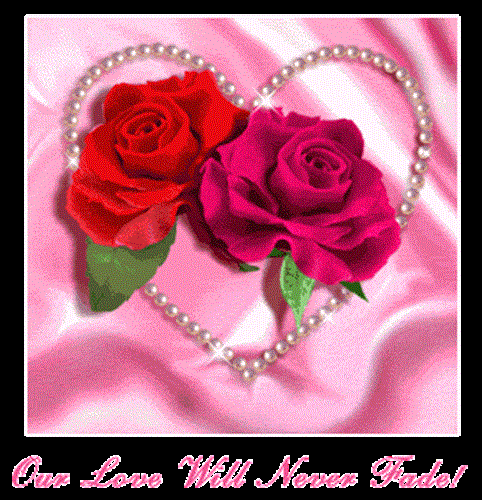 amir&nbsp;amir_mixer_2006