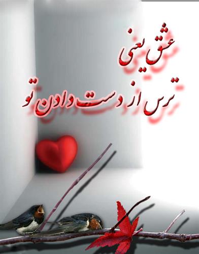 arash&nbsp;shayesteh