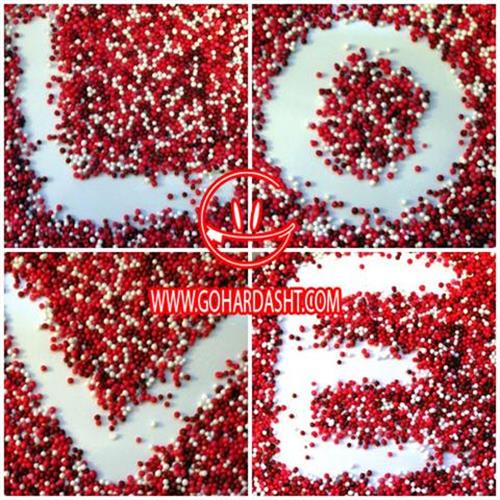 elham&nbsp;shahosinie