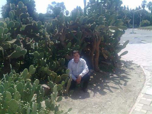 mahmood&nbsp;sadeghi