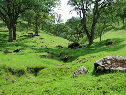 محمد&nbsp;mosavi