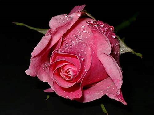 mehdi&nbsp;gholi nejhad