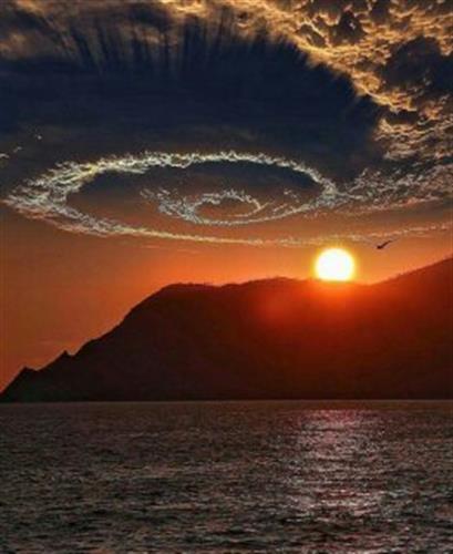 rouzbeh&nbsp;shakeri