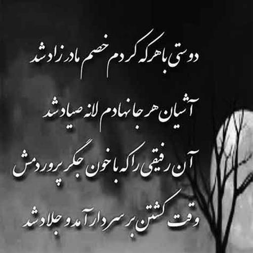 آرش&nbsp;فراهانی