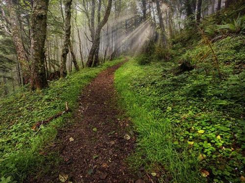 مریم&nbsp;عزیزی