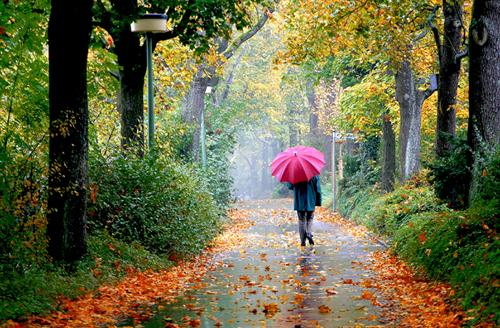 ali_naadi&nbsp;naadi