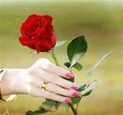 marya1111&nbsp;mohamady