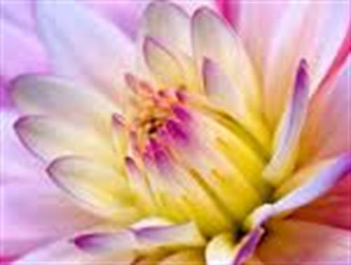 behnam&nbsp;kazemiyan