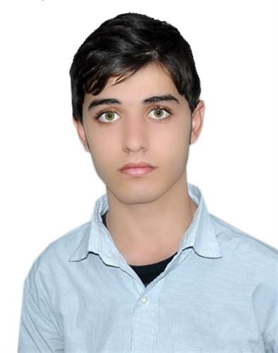 hossein&nbsp;bozorgi