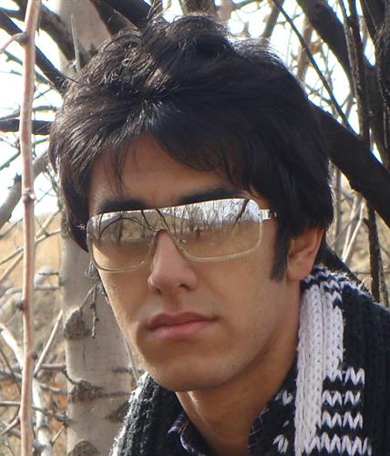 amir hossein&nbsp;shams