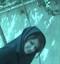 niloofar