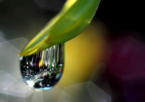 mehrab&nbsp;soltanzad