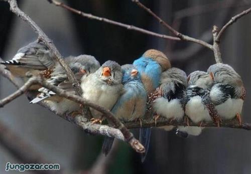 mehran&nbsp;bahadori