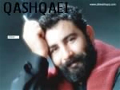 hesam&nbsp;ghashghaii