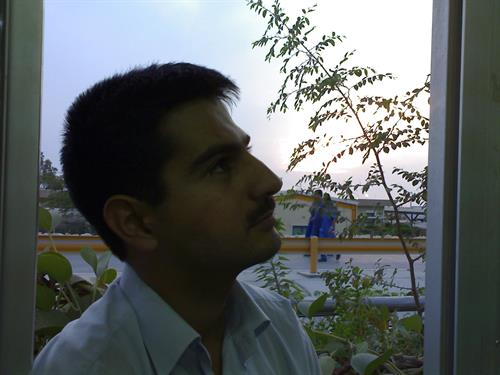 hamed-jan&nbsp;hamed