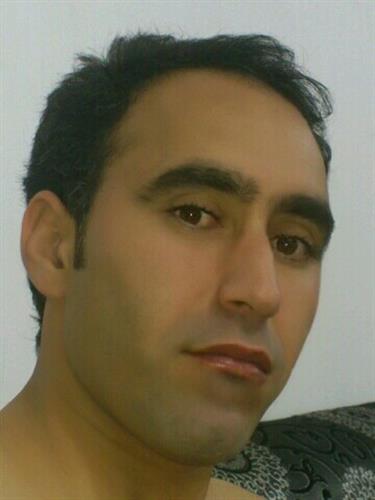 arash&nbsp;jamshidi
