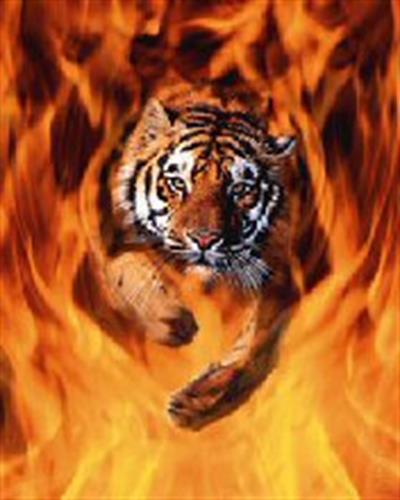 atishpare&nbsp;vorujak