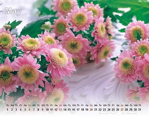 فتانه&nbsp;شرفی