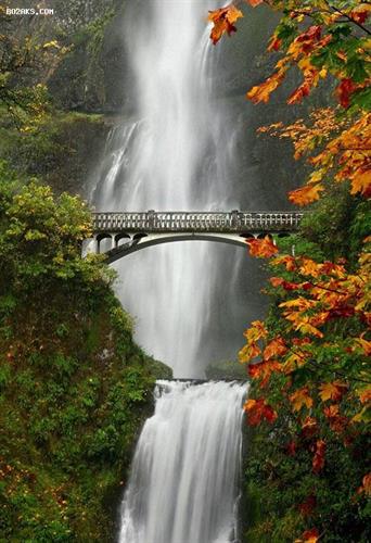 nazanin&nbsp;........