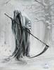 hamed