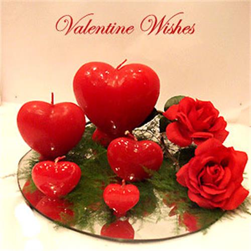 maryam&nbsp;mohamadi