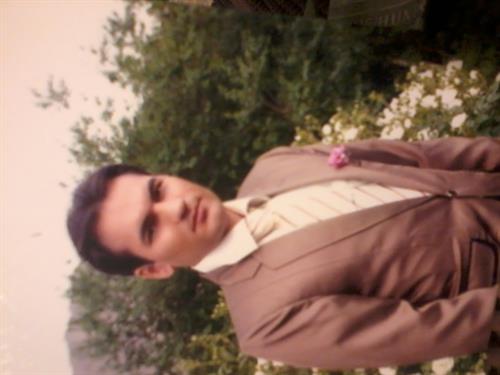 عارف&nbsp;جمالی