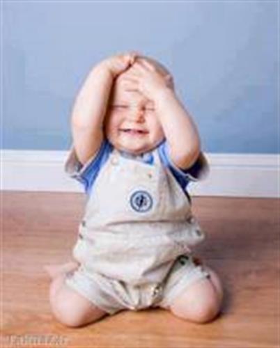 katayoon&nbsp;najafi