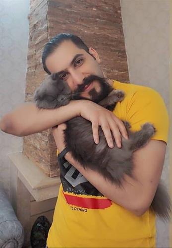 حامد&nbsp;محمدی