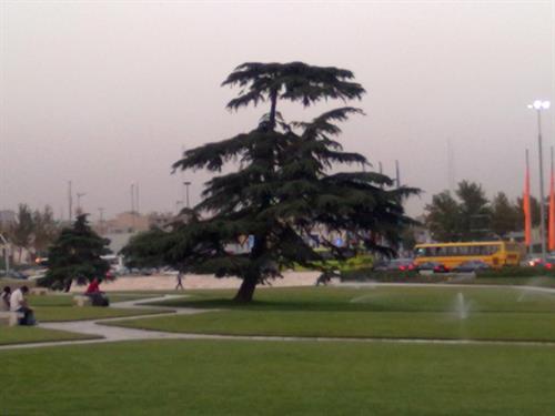 great&nbsp;blacksmite