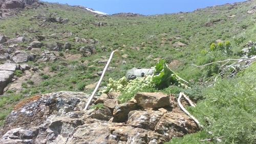 mohsen&nbsp;bazergan