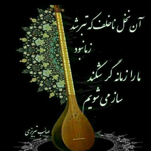 mohsen&nbsp;hosseinzadeh