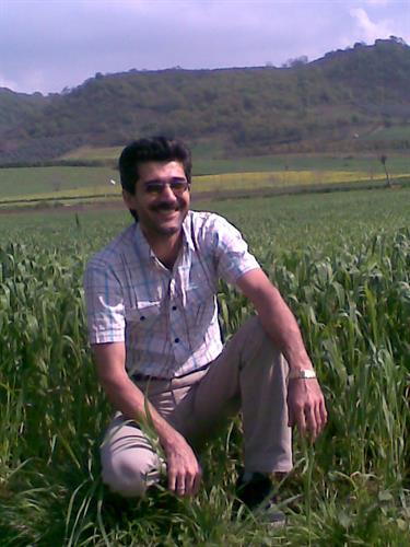 mojtaba&nbsp;shams mohammadi