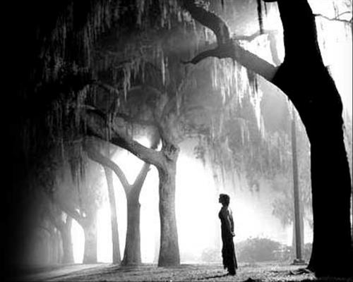 مهشید&nbsp;آذرنیا