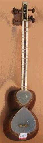 amirhosein&nbsp;shaygan