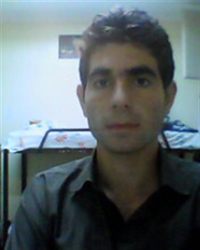 hamed&nbsp;ani