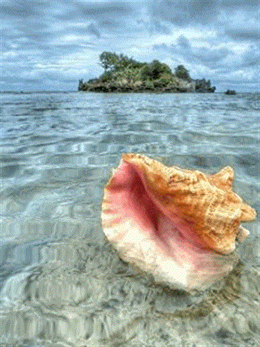 shahram&nbsp;khorasanyan