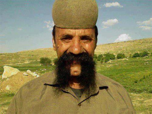 masoud&nbsp;masoudnic