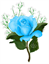 ahmad