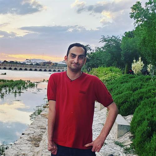 shervin&nbsp;saatchi