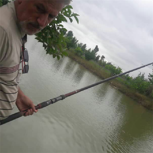 farshid&nbsp;ghayuor