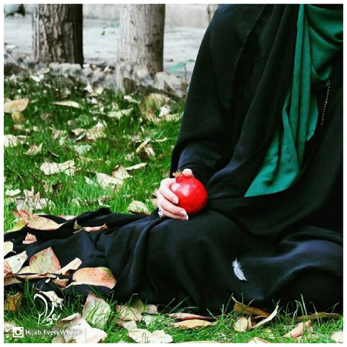 زیبا&nbsp;تهرانی