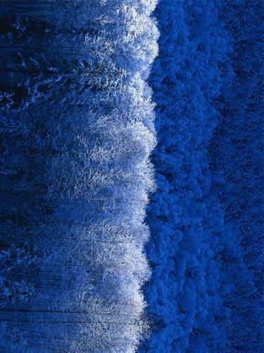 mohamadreza&nbsp;sam