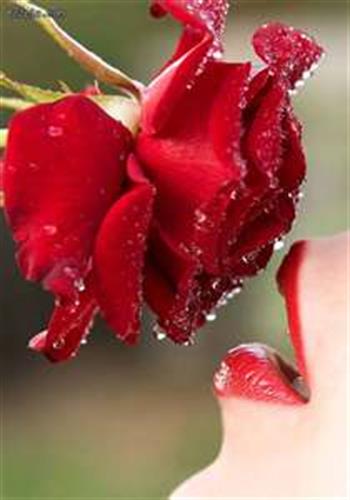 mohamademad&nbsp;mohamadyan