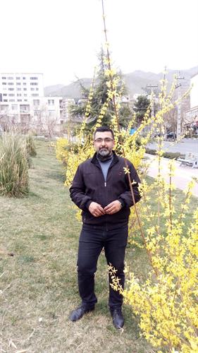 amir&nbsp;a
