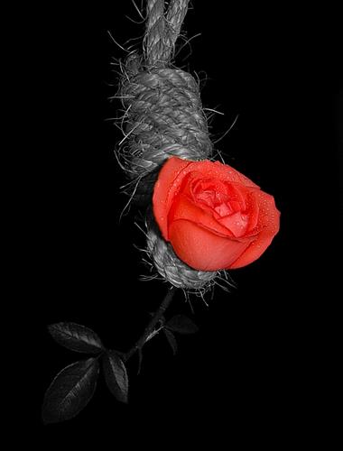 youneskalafe&nbsp;jigar